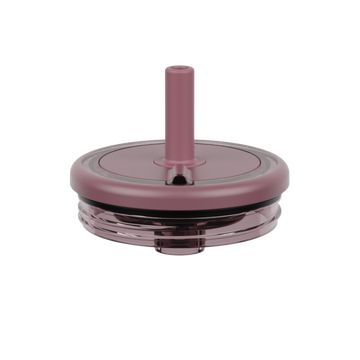 Era Replacement Lid 20oz | Rose Taupe - Leisure Companion