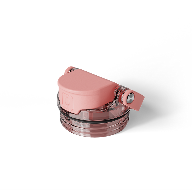 Rise Universal Replacement Lid | Guava - Daily Select